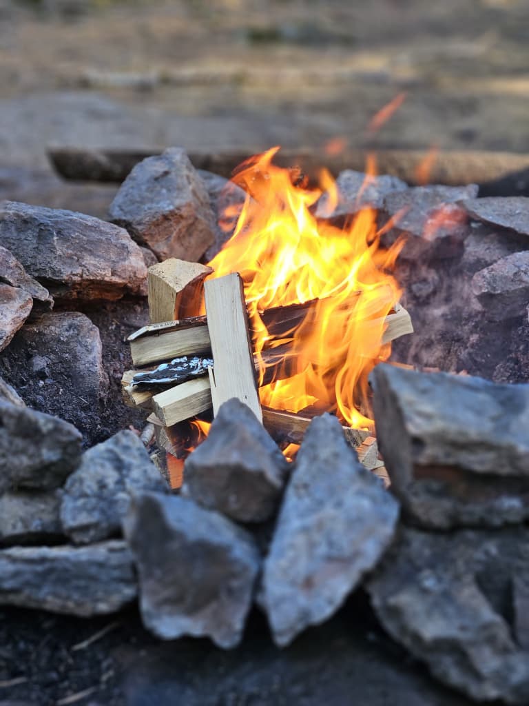 Bålkos i skogen